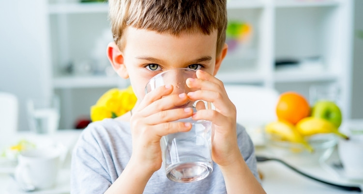 Bebedouro Britânia AquaPlus BBE12P