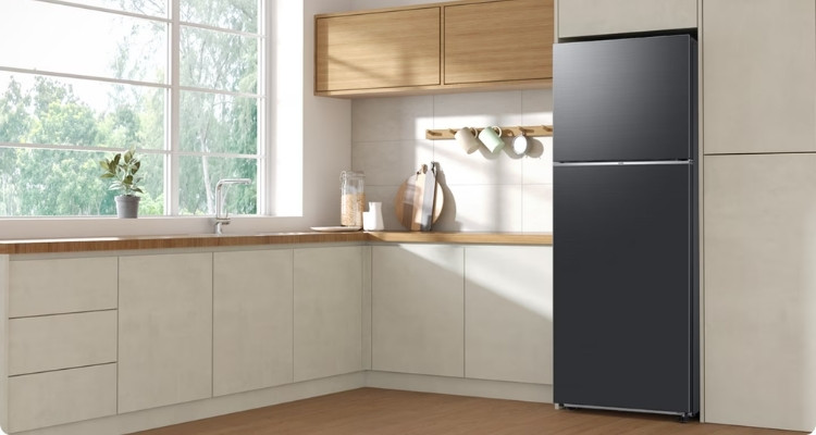 Geladeira Samsung Evolution RT38