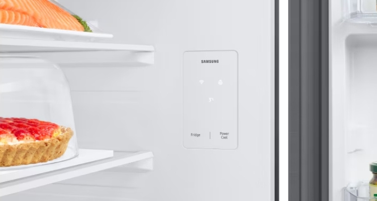 Geladeira Samsung Evolution RT42