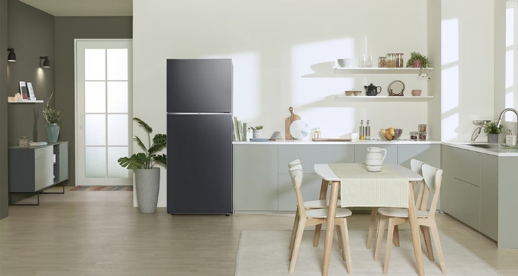Geladeira Samsung Evolution RT38